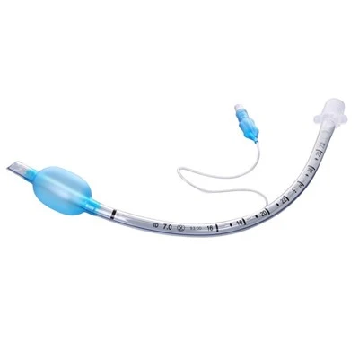 Tube endotrachéal standard